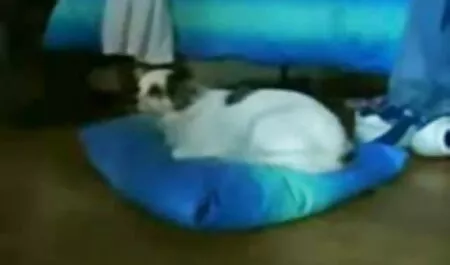 Chicas masturbándose chica vibrador coño chica petarďas